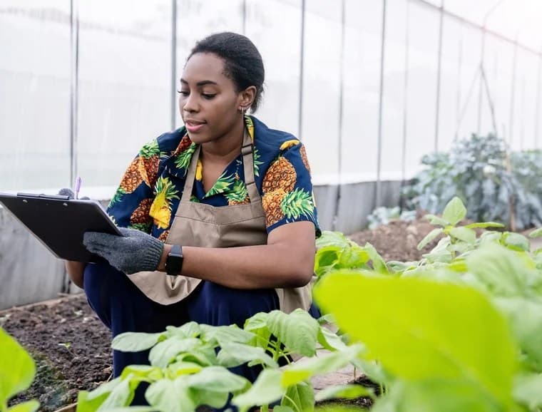 Tracking Daily Household Nutrition Across Seven African Countries for Five Consecutive Years